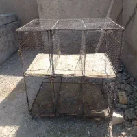 قفس پرنده