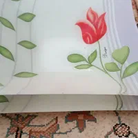 ظروف پذیرایی