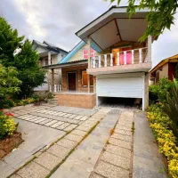 نیمپلوت مدرن