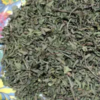 نعناع فلفلی|عمدهفروشی|جنت, |دیوار