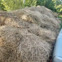 یونجه مخلوط