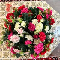 گل مصنوعی|گل مصنوعی|رضوانشهر, |دیوار