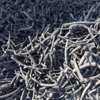 زغال پسته(سرشاخ-قلم)|عمده‌فروشی|سیرجان, |دیوار