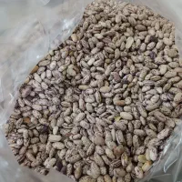 فروش لوبیا چیتی|خوردنی و آشامیدنی|بندرعباس, |دیوار