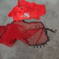 لباس قر(لری)|لباس|برازجان, |دیوار