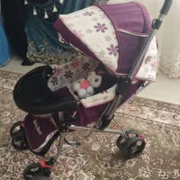 کالسکه|کالسکه و لوازم جانبی|تویسرکان, |دیوار