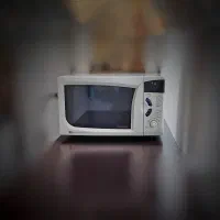 ماکروفر الجی ۳۰ لیتری