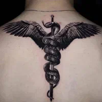 تتو کارم .7سال سابقه دارم