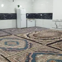 سوسنگرد