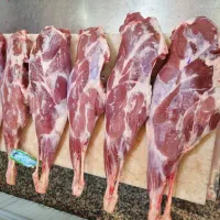 صندوقدار خانم