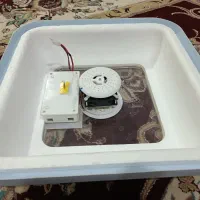 دستگاه جوجه کشی|لوازم جانبی حیوانات|میلاجرد, |دیوار