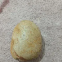 یک فسیل بسیار زیبا به وزن 222گرم