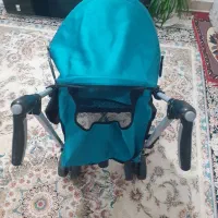 کالسکه عصایی دلیجان|کالسکه و لوازم جانبی|تهران, گلاب دره|دیوار