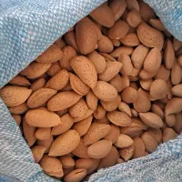 گردو و بادام تحویل درب منزل|خوردنی و آشامیدنی|شاهین‌شهر, شهرک گلدیس|دیوار