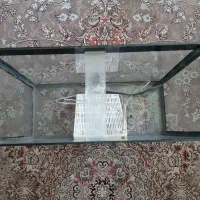 آکواریوم|ماهی|مشهد, فرهنگ|دیوار