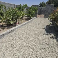 باغ و باغچه / درختان میوه با شرایط پرداخت
