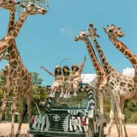 تورتایلند(قسطی)|تور و چارتر|کرج, عظیمیه|دیوار