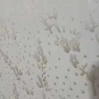 گچکاری و نقاشی وگچ خاک غیره