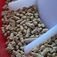 دان خوراک مرغ بوقلمون بلدرچین جوجه