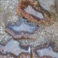 فروش انواع شجرهای بهاره و پاییزه و انواع عقیق|بدلیجات|فردوس (خراسان), |دیوار