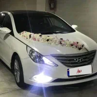 کرایه خودرو اجاره خودرو سوناتاyf
