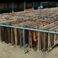 قالیشوی تخصص برادران|خدمات نظافت|اهواز, پادادشهر|دیوار