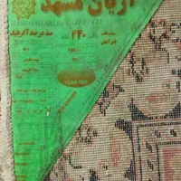 فروش فرش|فرش|گرگان, |دیوار