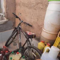 دوچرخه ویوا اصل تایوان وحرفه ای