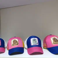 کلاه گورین نقاب دار|لباس|سلماس, |دیوار