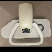 اتو بخار رادگس