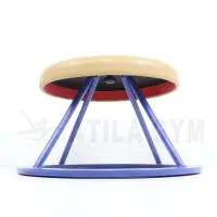 قارچ ژیمناستیک برای آموزش خرک حلقه