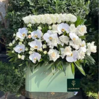 باکس گل لوکس و لاکچری