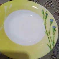 ارکوپال اصل فرانسه قدیمی