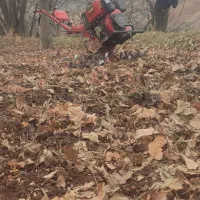 شخم با تیلر