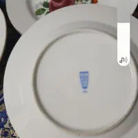 پیش دستی کاریزر آلمان هرعدد۵۰۰