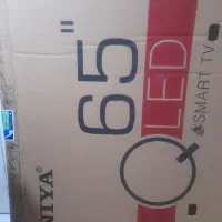 کارتن تلوزیون ۶۵ اینچ