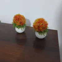 گلهای تزئینی|گل مصنوعی|قرچک, شهرک طلائیه|دیوار