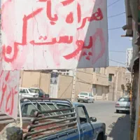 گردو تازه مستقیم از توسرکان