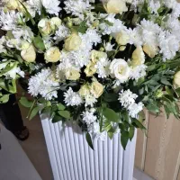 باکس گل طبیعی
