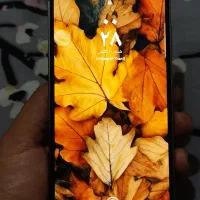 سامسونگ s23fe اس 23 در حدنو
