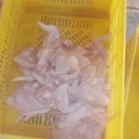 بال.و.کتف|خوردنی و آشامیدنی|کرمانشاه, |دیوار