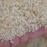 برنج لنجان معطر         کالابرگ  اصفهان کارت  آزاد|خوردنی و آشامیدنی|اصفهان, رزمندگان|دیوار