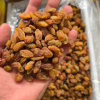 مویز  وکشمش درجه یک