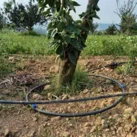 خانه تاسیسات گیلشهر|خدمات پیشه و مهارت|لوشان, |دیوار