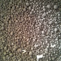 کودریشه۲۵کیلویی۵۰۰|گل و گیاه طبیعی|آبدانان, |دیوار