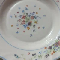 بشقاب لومینارک فرانسه نووسالم