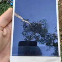 فروشی فوری|تبلت|کرج, کارخانه قند|دیوار