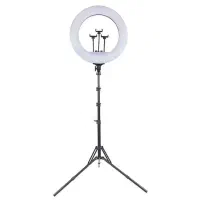 رینگ لایت RL18|ریسه و چراغ تزئینی|لامرد, |دیوار