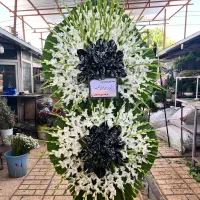 خدمات به روز تاج گل طبیعی  ترحیم(بازار گل)‌ سران|خدمات پذیرایی، مراسم|تهران, آهنگ|دیوار