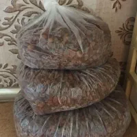 کشمش|خوردنی و آشامیدنی|زنجان, |دیوار